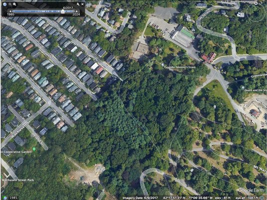 Forest Hills Cemetery by null