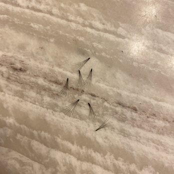 Amazing Lash Studio - This is my lashes in 1 day - Eyelash Service Near Me - Chula Vista, California Amazing Lash Studio - This is my lashes in 1 day - Eyelash Service Near Me - Chula Vista, California