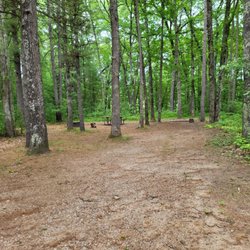 Representative site