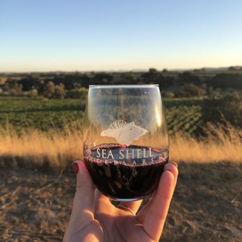 Sea Shell Cellars - Wine Tasting Room Near Me - Paso Robles, California