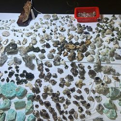 Rocky's Crystals & Minerals Rittenhouse Square - Specimens