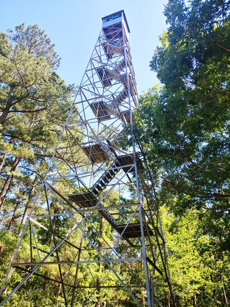 Land Between the Lakes Logo