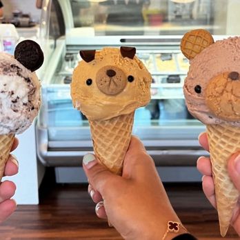 Eli's Ark - Gelato - Gelato Near Me - Chicago, Illinois Eli's Ark - Gelato - Gelato Near Me - Chicago, Illinois