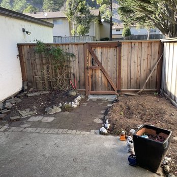 West Valley Tree Care - Backyard after both trees were removed - Tree Services Near Me - Sunnyvale, California West Valley Tree Care - Backyard after both trees were removed - Tree Services Near Me - Sunnyvale, California