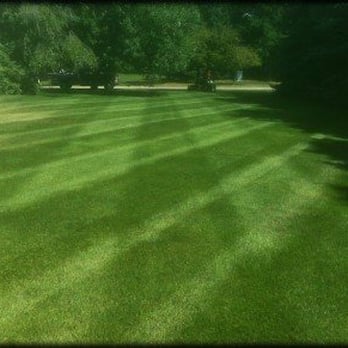 LR Lawns - a green lawn with trees in the background - Landscaping Near Me - Andover, Minnesota LR Lawns - a green lawn with trees in the background - Landscaping Near Me - Andover, Minnesota