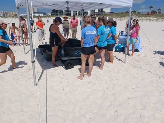 Gulfarium Marine Adventure Park by null