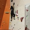 Active Climbing and Ninja Center gift card