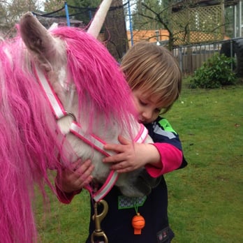 Dreamland Ponies - Party & Event Planning Near Me