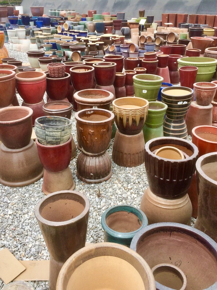 Sunshine Growers Nursery 122 Photos & 105 Reviews Nurseries