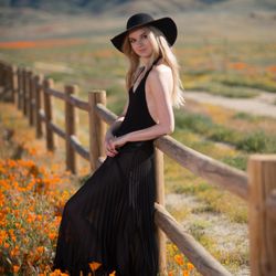 Gary Hammond Photography - Some years the bloom is very good in the Antelope Valley