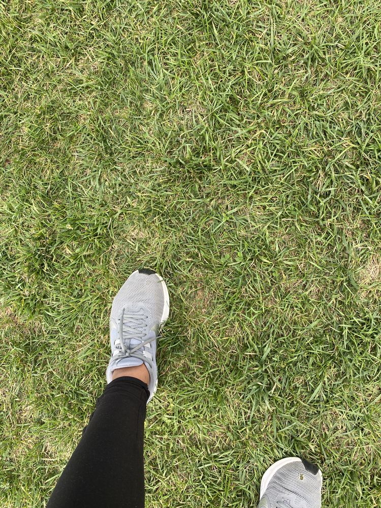 MADISON COMMUNITY POOL Updated August 2024 Rosedale Ave, Madison, New Jersey Nightlife