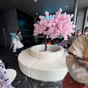 Pekoe - Bubble Tea Near Me - Fairfax, Virginia