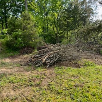 Shular Wood - a pile of tree branches in the foreground - Firewood Near Me Shular Wood - a pile of tree branches in the foreground - Firewood Near Me