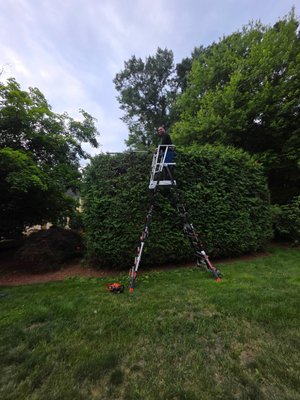 High Quality Landscaping on Yelp