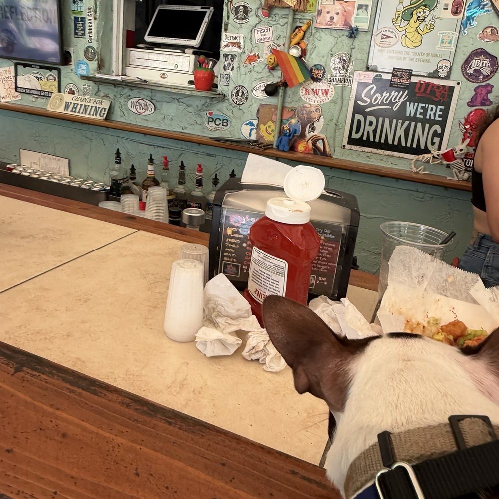 Big Dog Station - Sports Bars Near Me - Oakland Park, Florida Big Dog Station - Sports Bars Near Me - Oakland Park, Florida
