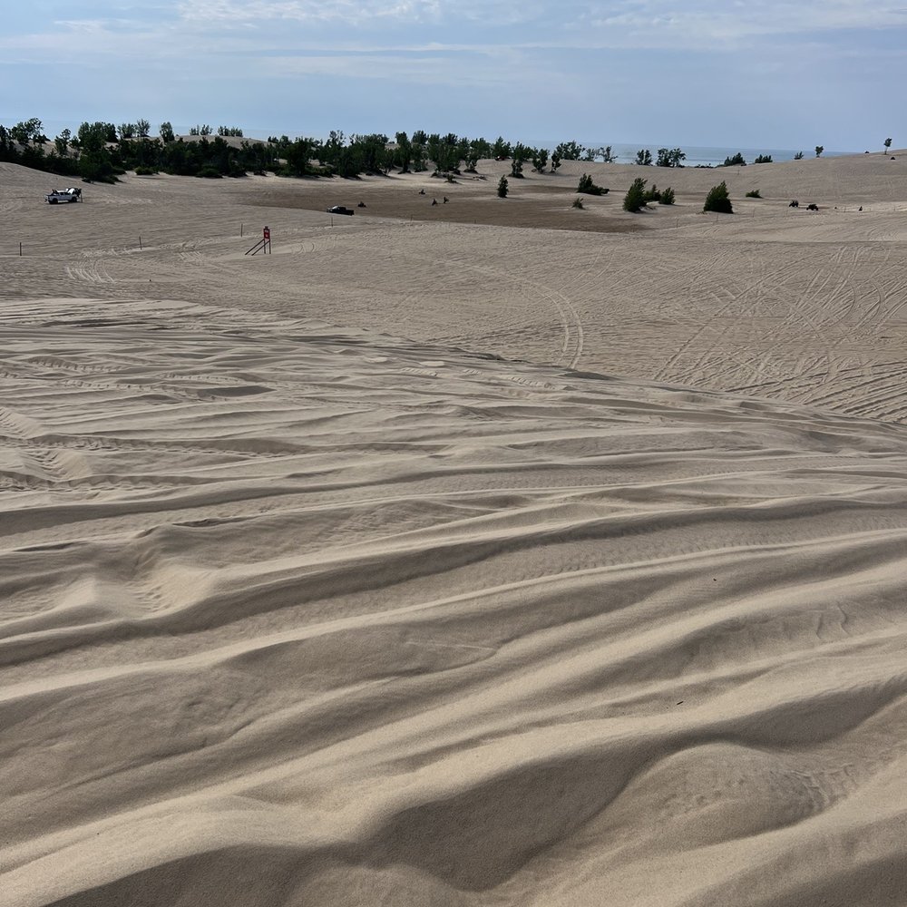 So many dunes to explore! So many dunes to explore!