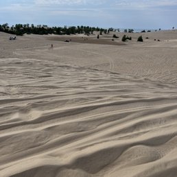 So many dunes to explore!