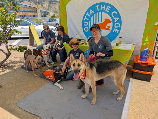 Malibu Farmers Market by null