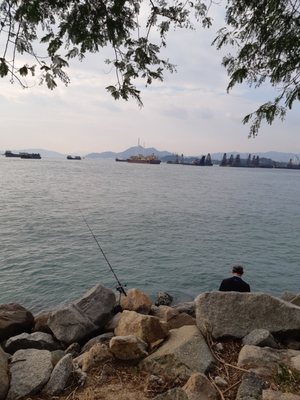 Tsim Sha Tsui Promenade by null