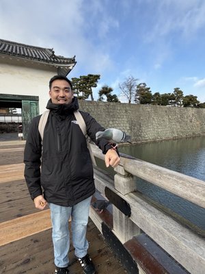 Nijō Castle by null