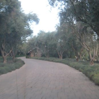 San Ysidro Ranch - Hotels Near Me - Montecito, California San Ysidro Ranch - Hotels Near Me - Montecito, California
