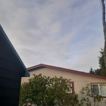 Top This Tree - Tree Services Near Me