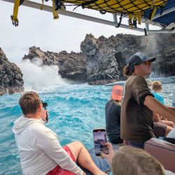 Excellent Escapes Travel - The most amazing snorkeling adventure in Maui!