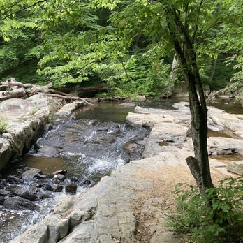 Prince William Forest Park - Hiking Near Me - Triangle, Virginia Prince William Forest Park - Hiking Near Me - Triangle, Virginia