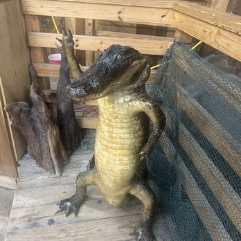 Airboat Adventures - Boat Tours Near Me - Lafitte, Louisiana Airboat Adventures - Boat Tours Near Me - Lafitte, Louisiana