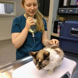 Medical Lake Veterinary Hospital