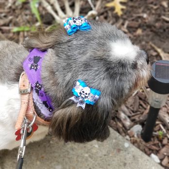 Jack’s Grooming - Pet Groomers Near Me - Gardner, Kansas