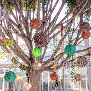 Mia Emma Love Events - Lanterns and hanging monkeys - Party & Event Planning Near Me Mia Emma Love Events - Lanterns and hanging monkeys - Party & Event Planning Near Me