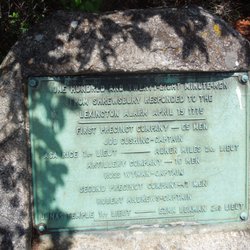 Lexington Alarm Marker
