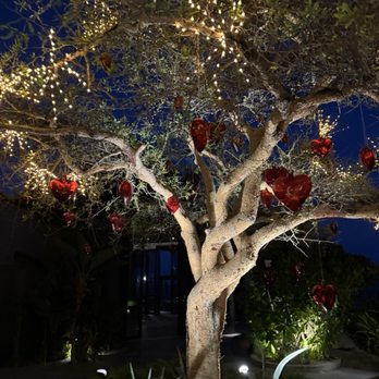 Cocina del Mar - hearts - Seafood Near Me - Cabo San Lucas, BCS Cocina del Mar - hearts - Seafood Near Me - Cabo San Lucas, BCS