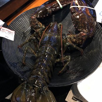 Day & Night Angus Beef King Crab - 6.5 lb lobster - Seafood Near Me - Toronto, Ontario Day & Night Angus Beef King Crab - 6.5 lb lobster - Seafood Near Me - Toronto, Ontario