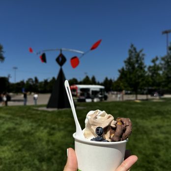 Fro-Yo Soul - Food Trucks Near Me Fro-Yo Soul - Food Trucks Near Me