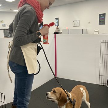 Success Just Clicks Dog Training - Dog Walkers Near Me Success Just Clicks Dog Training - Dog Walkers Near Me
