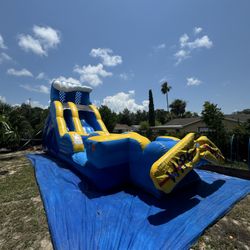 Kay Bears Party Rentals