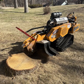 FC Tree Service - Tree Services Near Me