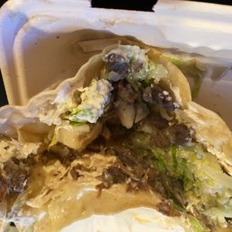 Gross mushroom quesadilla Gross mushroom quesadilla