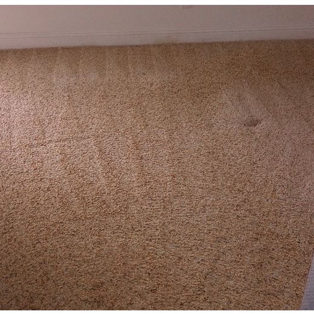 Red Carpet Cleaning Service - Bedroom carpet cleaned - Carpet Cleaning Near Me Red Carpet Cleaning Service - Bedroom carpet cleaned - Carpet Cleaning Near Me