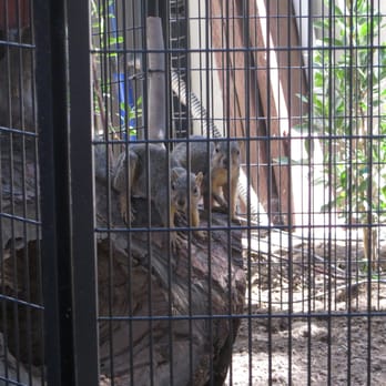 Wildlife Learning Center - Zoos Near Me - Sylmar, California Wildlife Learning Center - Zoos Near Me - Sylmar, California