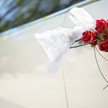 Dignitary Transportation - Wedding Day - Limos Near Me - Lake Worth, Florida
