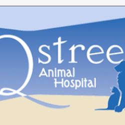 Q Street Animal Hospital - untitled