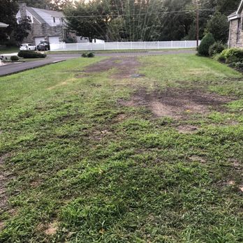See Clear Tree & Property Services - This is the back of my house where his trucks were station - Tree Services Near Me - Clayton, New Jersey See Clear Tree & Property Services - This is the back of my house where his trucks were station - Tree Services Near Me - Clayton, New Jersey
