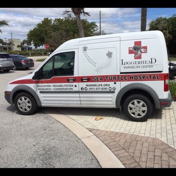 Loggerhead Marinelife Center - Loggerhead Marine Life Center - Community Service/Non-Profit Near Me - Juno Beach, Florida