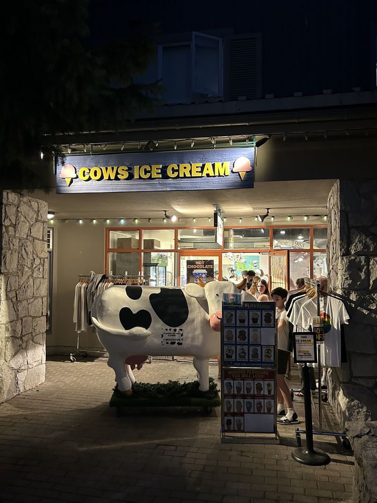 COWS Updated August 2024 308 Photos & 262 Reviews 4313 Main