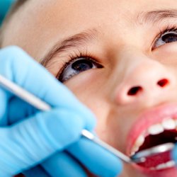 Palmetto Dental
