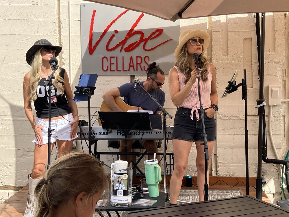 Vibe Cellars Logo