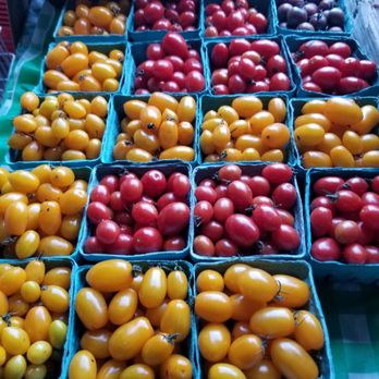 Rottcamp Brothers Farm - Farmers Market Near Me - Glen Head, New York Rottcamp Brothers Farm - Farmers Market Near Me - Glen Head, New York